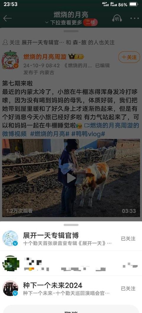 vps啥意思啊