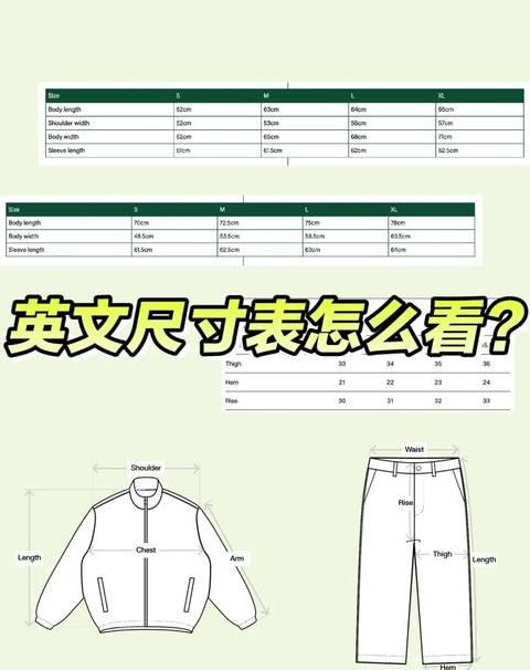 word中怎么看表格尺寸