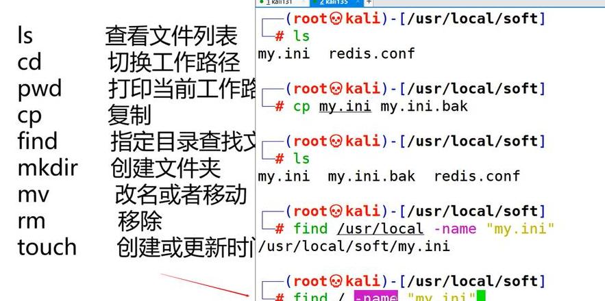 Linux查看主目录文件与目录方法大全