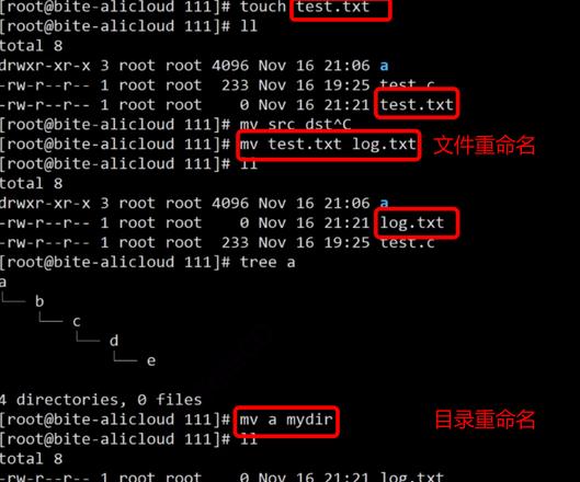 Linuxroot权限获取方法全解析