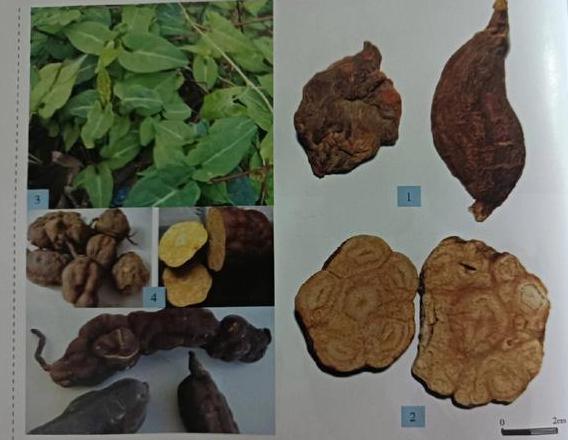 8g内存条与16g内存条性能对比哪款更适合你？