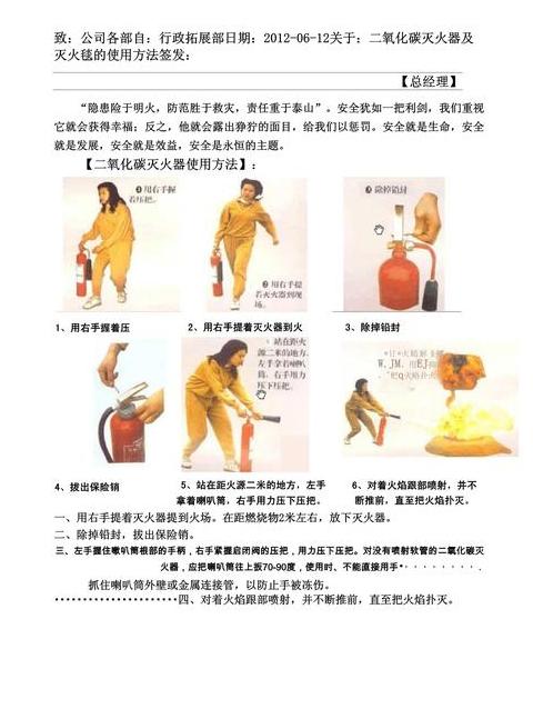 ping命令详解：常见用法与网络诊断技巧