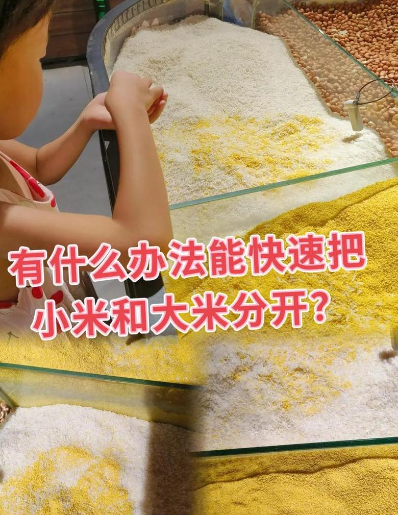 小米储存技巧全解析