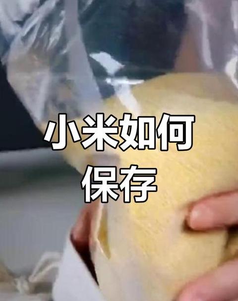 科学保存，延长小米新鲜期——大量小米的存储技巧