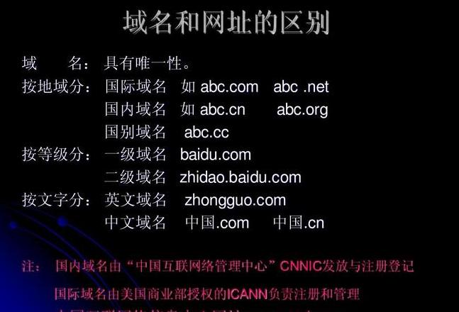 4TigerSea自动跳转揭秘：外贸网站推广策略与域名解析